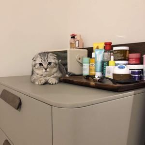 Meet your Posher, Jasmine